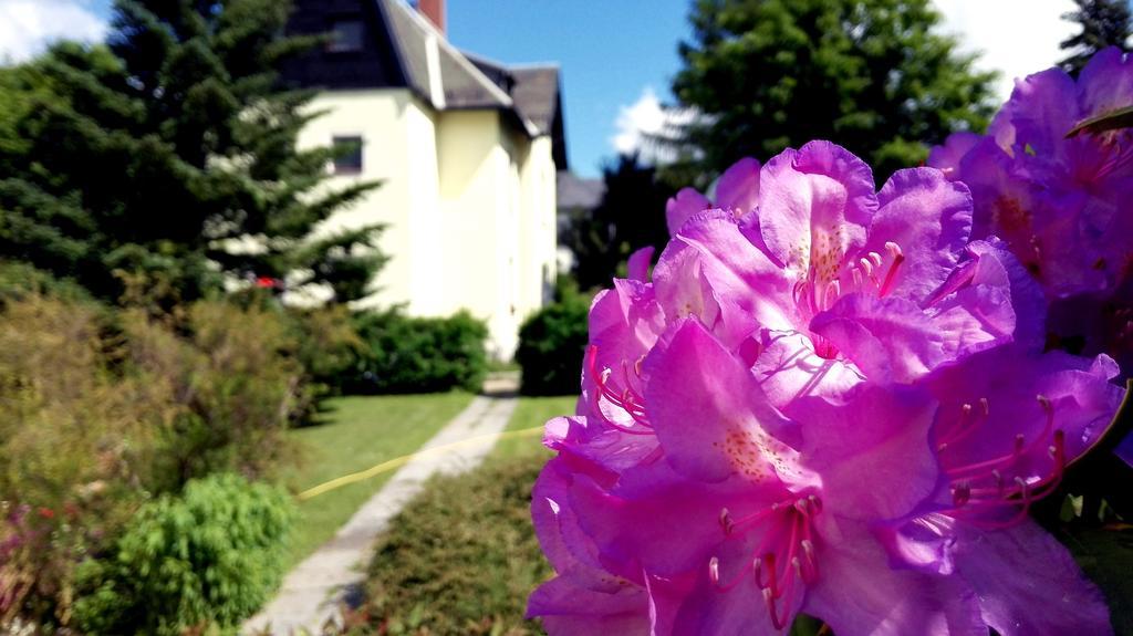Ferienhotel Аугустусбург Екстер'єр фото